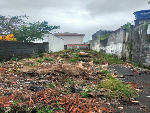 #317-7 - Terreno para Venda em São Vicente - SP - 2